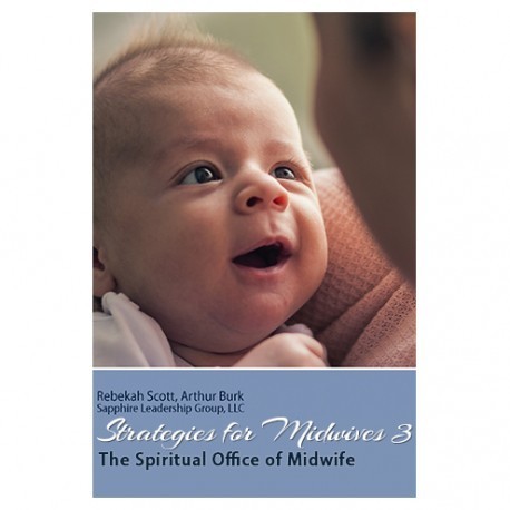 Strategies for Midwives 3 Download