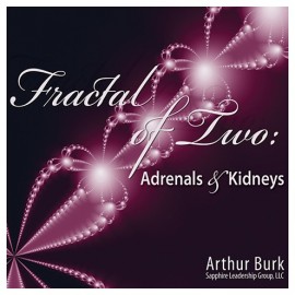 Fractal of Two: Adrenals & Kidneys Download
