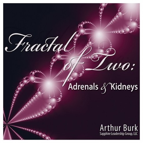 Fractal of Two: Adrenals and Kidneys