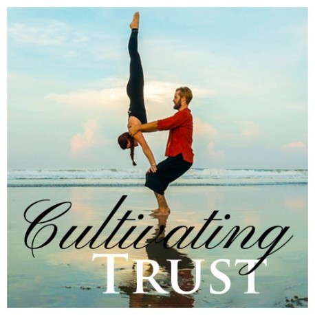 Cultivating Trust