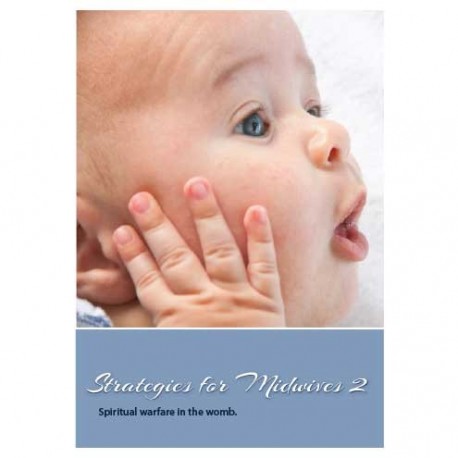Strategies for Midwives 2 Download