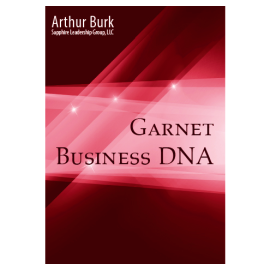 Social DNA of Business: 06 Garnet
