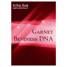 Social DNA of Business: 06 Garnet Download