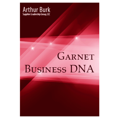Social DNA of Business: 06 Garnet