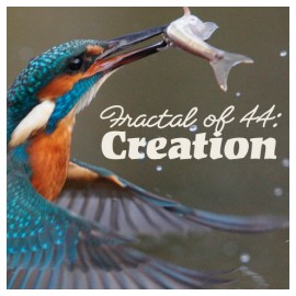 1. Fractal of 44: Creation Seminar