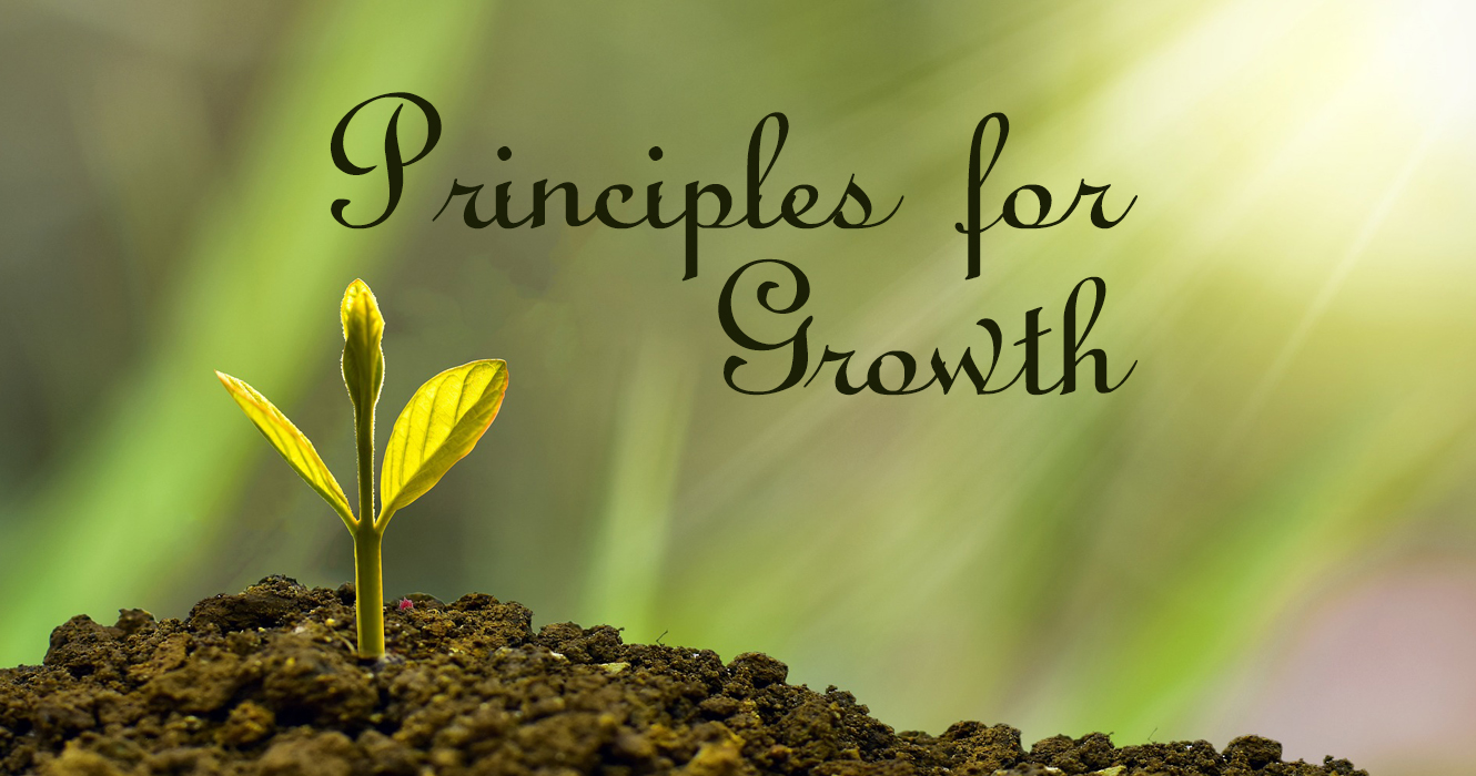 Principles for Growth