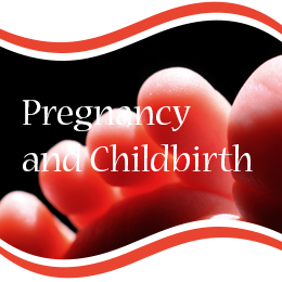 Pregancy and Childbirth